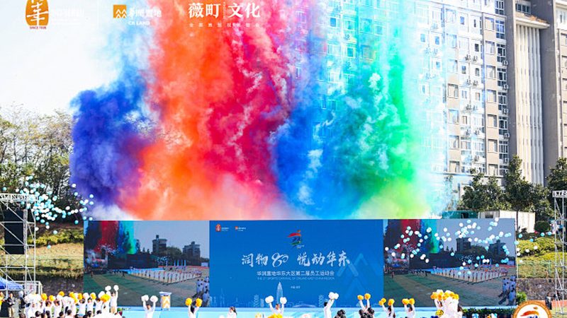 品牌设计公司价格差异背后的考量因素